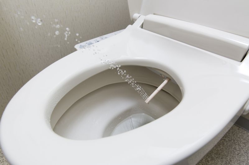 Specialized Bidet Technicians